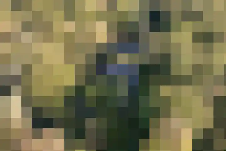 Vordenseweg 4 Ruurlo thumbnail 52