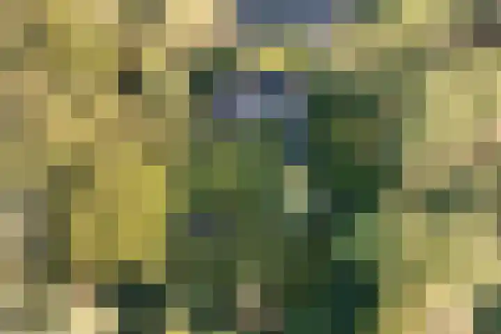 Vordenseweg 4 Ruurlo thumbnail 53