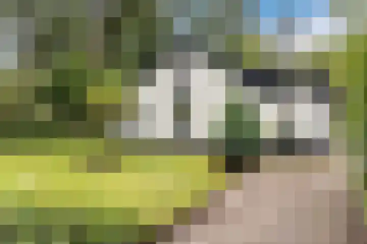 Vordenseweg 4 Ruurlo thumbnail 54