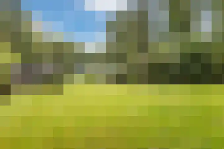 Vordenseweg 4 Ruurlo thumbnail 8