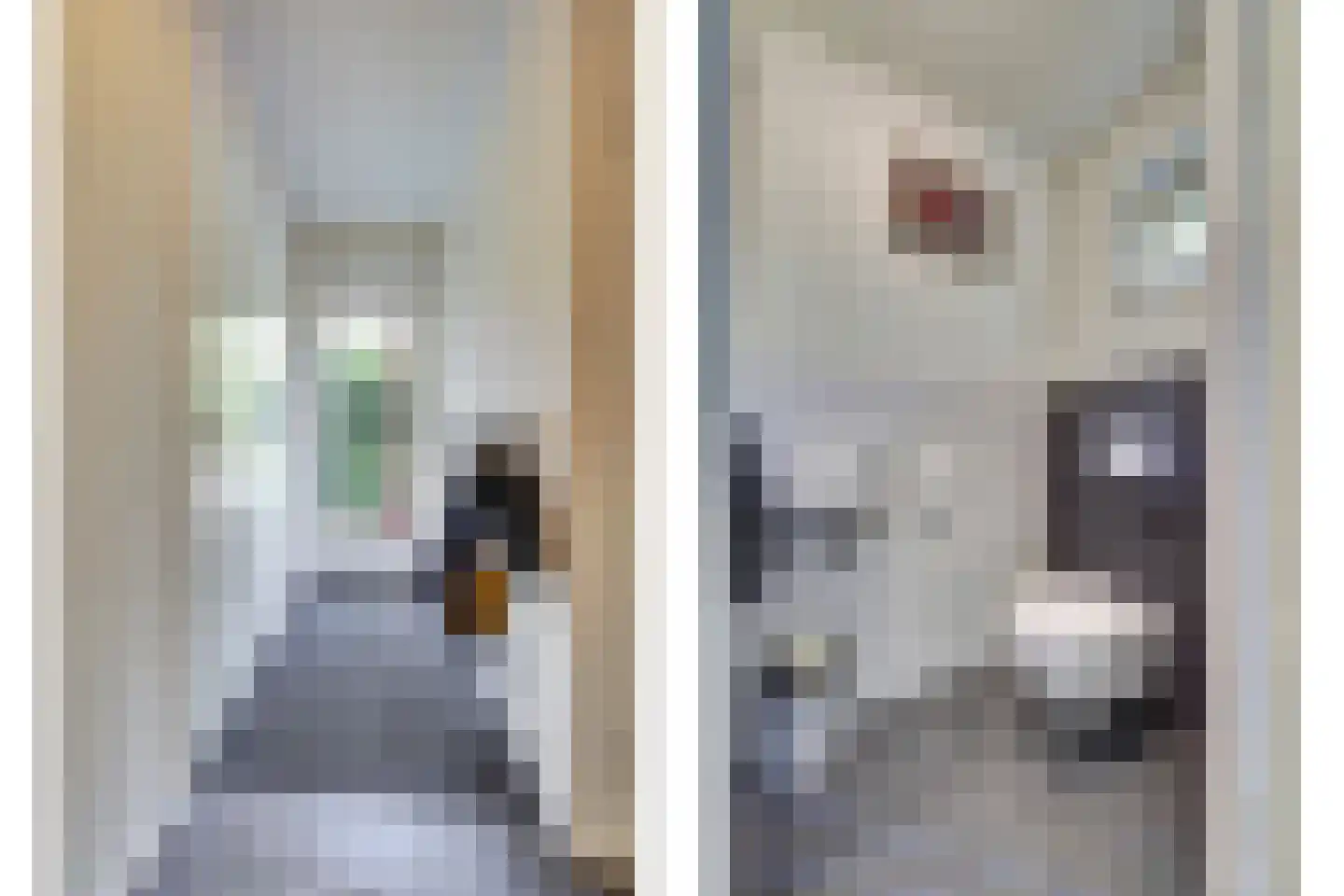 Vordenseweg 6 H107 Lochem thumbnail 13
