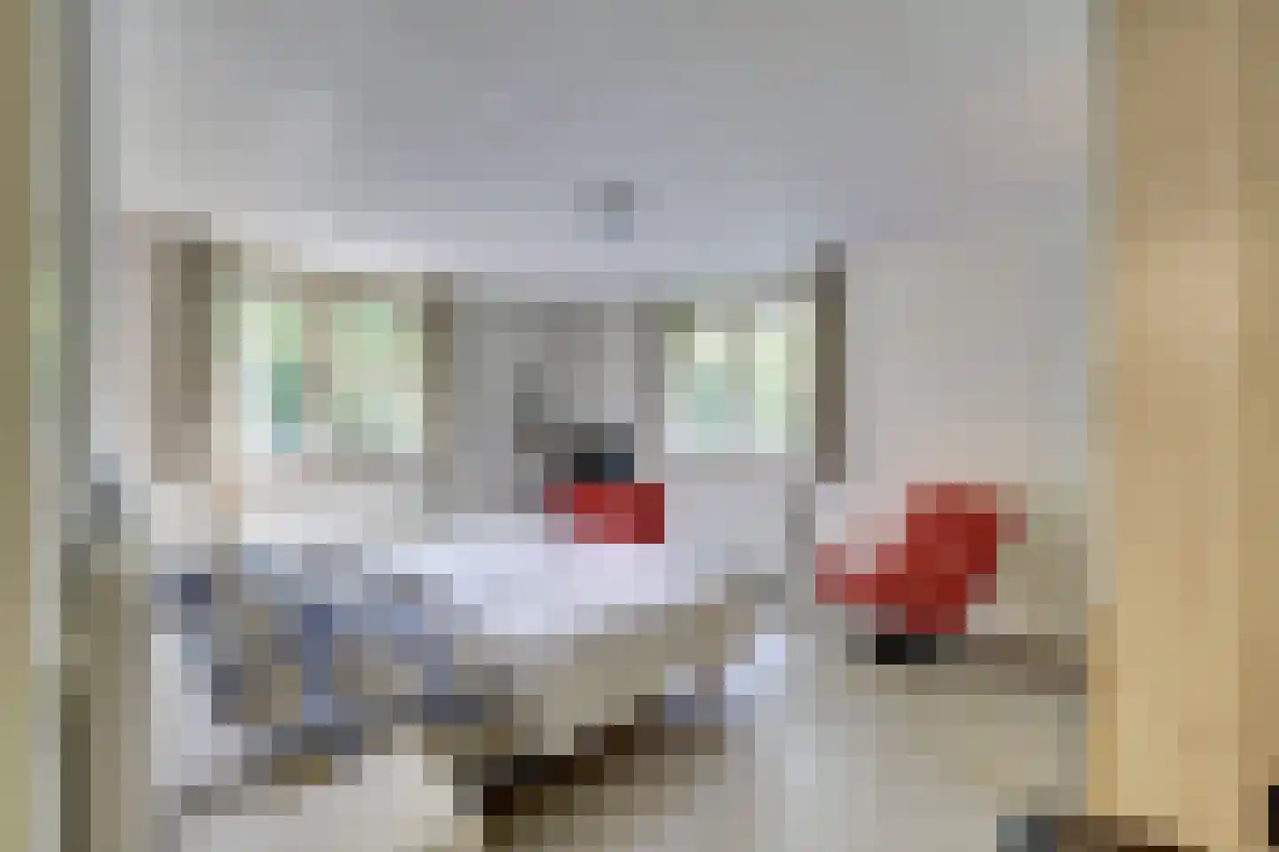 Vordenseweg 6 H107 Lochem thumbnail 15