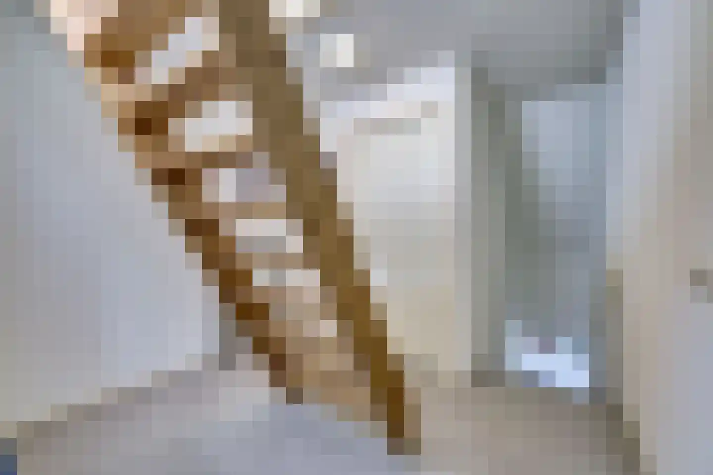 Vordenseweg 6 H107 Lochem thumbnail 19