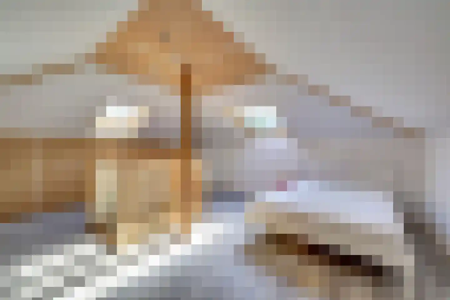 Vordenseweg 6 H107 Lochem thumbnail 20