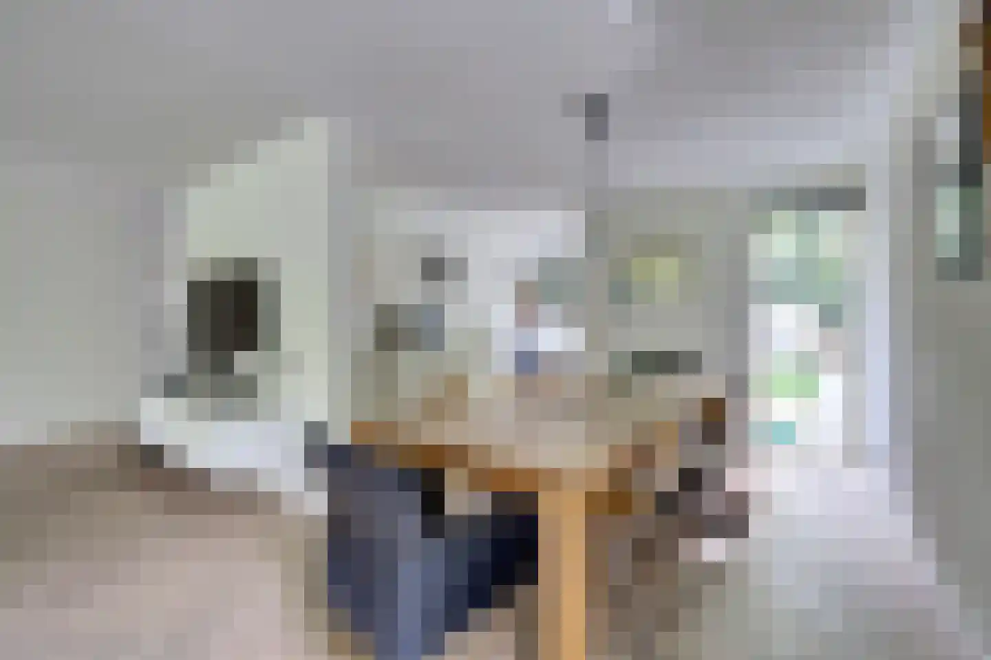 Vordenseweg 6 H107 Lochem thumbnail 6