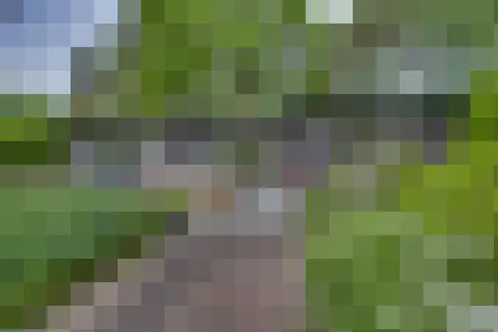 Vordenseweg 6 H110 Lochem