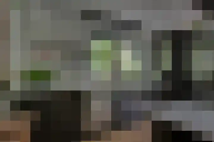 Vordenseweg 6 H110 Lochem thumbnail 12