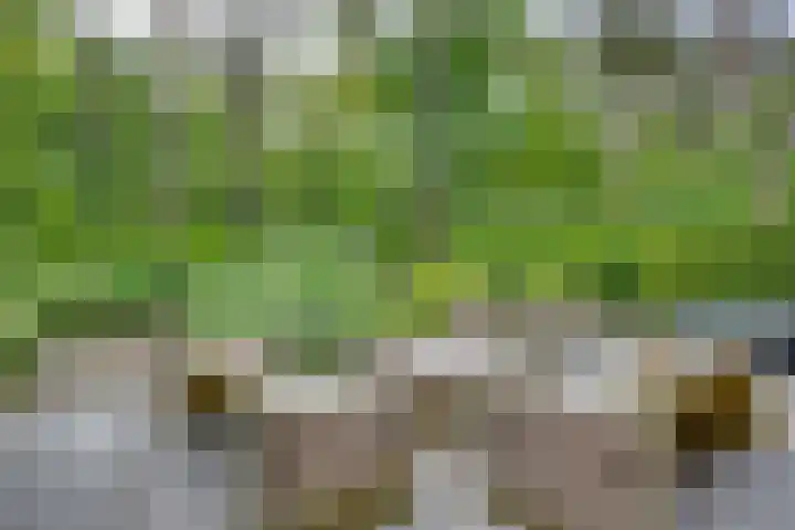 Vordenseweg 6 H110 Lochem thumbnail 23