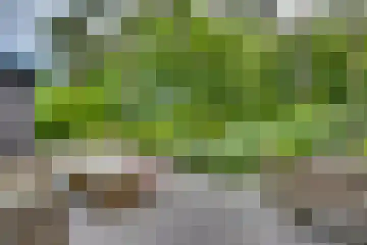 Vordenseweg 6 H110 Lochem thumbnail 24