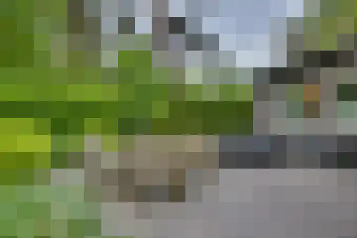 Vordenseweg 6 H110 Lochem thumbnail 25