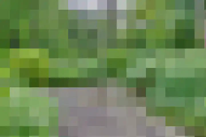 Vordenseweg 6 H110 Lochem thumbnail 26