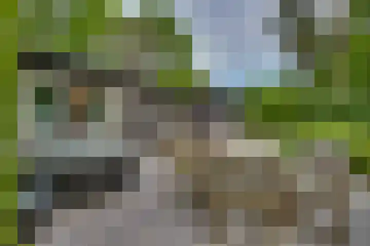 Vordenseweg 6 H110 Lochem thumbnail 27