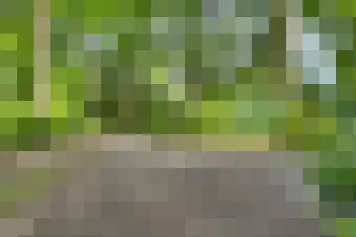 Vordenseweg 6 H110 Lochem thumbnail 28