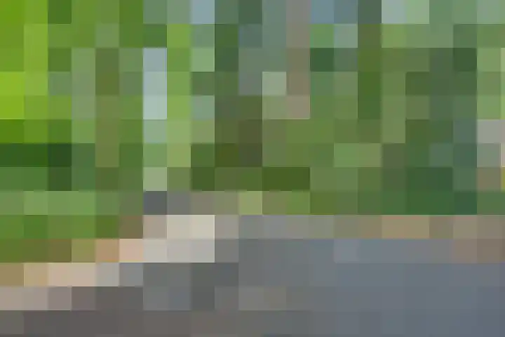 Vordenseweg 6 H110 Lochem thumbnail 29