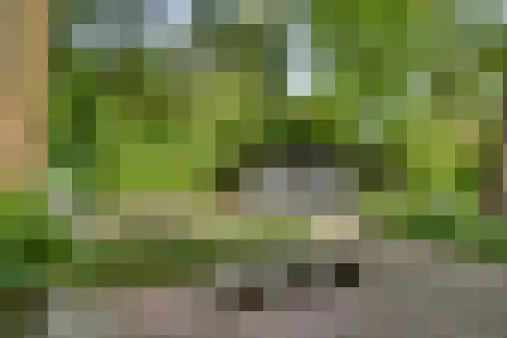 Vordenseweg 6 H110 Lochem thumbnail 4