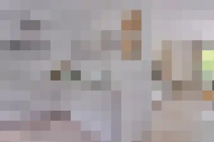 Vordenseweg 6 H125 Lochem thumbnail 14