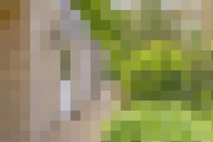 Vordenseweg 6 H125 Lochem thumbnail 27