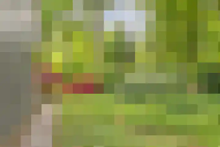 Vordenseweg 6 H125 Lochem thumbnail 28