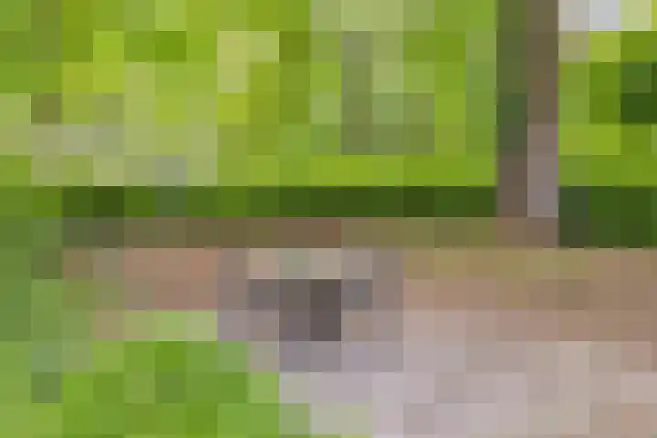 Vordenseweg 6 H125 Lochem thumbnail 29