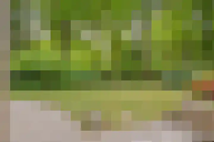 Vordenseweg 6 H125 Lochem thumbnail 30