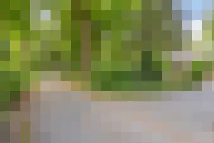 Vordenseweg 6 H125 Lochem thumbnail 32