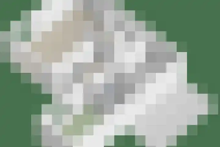 Vordenseweg 6 H125 Lochem thumbnail 36