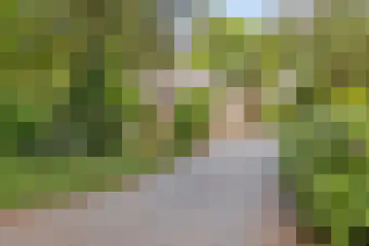 Vordenseweg 6 H125 Lochem thumbnail 4