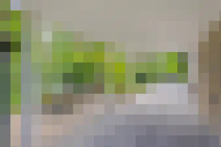 Vordenseweg 6 H125 Lochem thumbnail 5