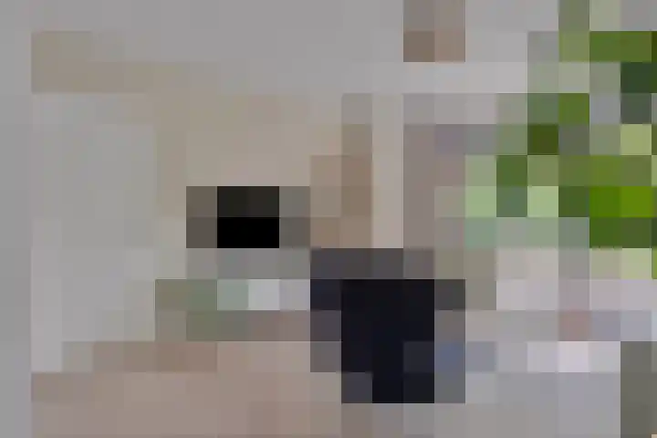Vordenseweg 6 H125 Lochem thumbnail 7