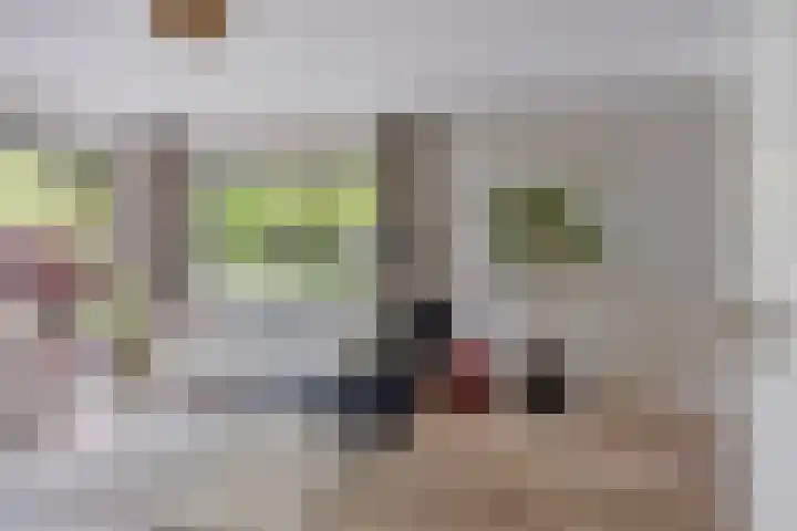Vordenseweg 6 H125 Lochem thumbnail 8