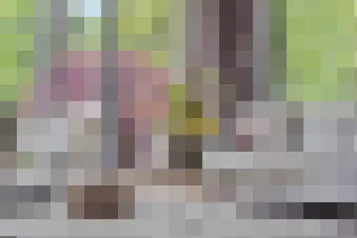 Vordenseweg 6 H125 Lochem thumbnail 9