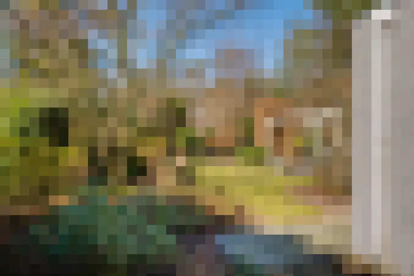 Vordenseweg 6 H127 Lochem thumbnail 23