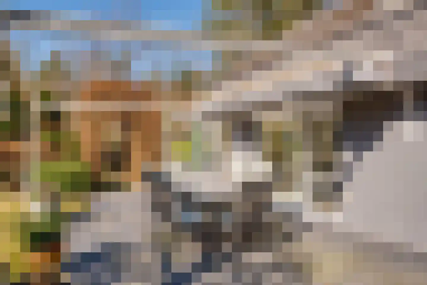 Vordenseweg 6 H127 Lochem thumbnail 25