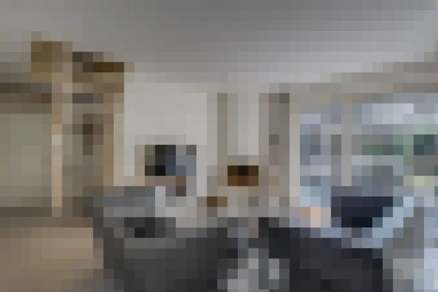 Vordenseweg 6 H127 Lochem thumbnail 5