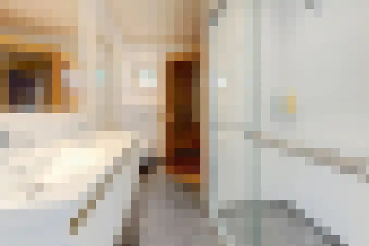Vordenseweg 6 H221 Lochem thumbnail 13