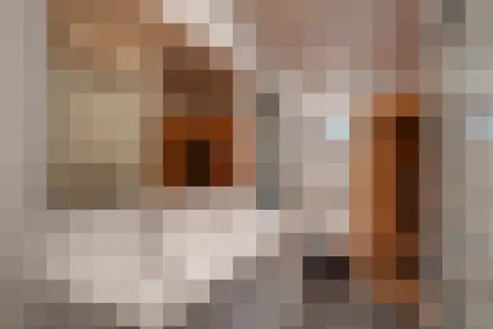 Vordenseweg 6 H223 Lochem thumbnail 12