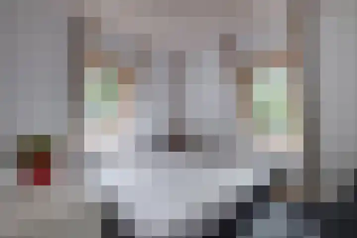 Vordenseweg 6 H223 Lochem thumbnail 17