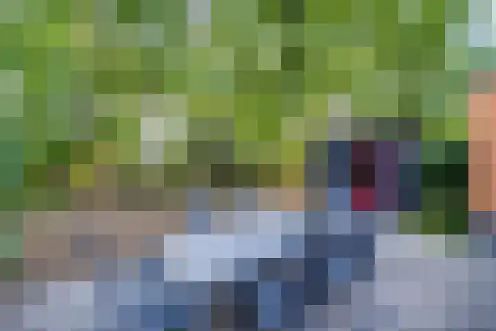 Vordenseweg 6 H223 Lochem thumbnail 22