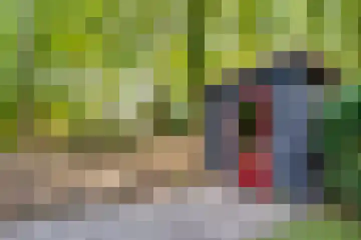 Vordenseweg 6 H223 Lochem thumbnail 23