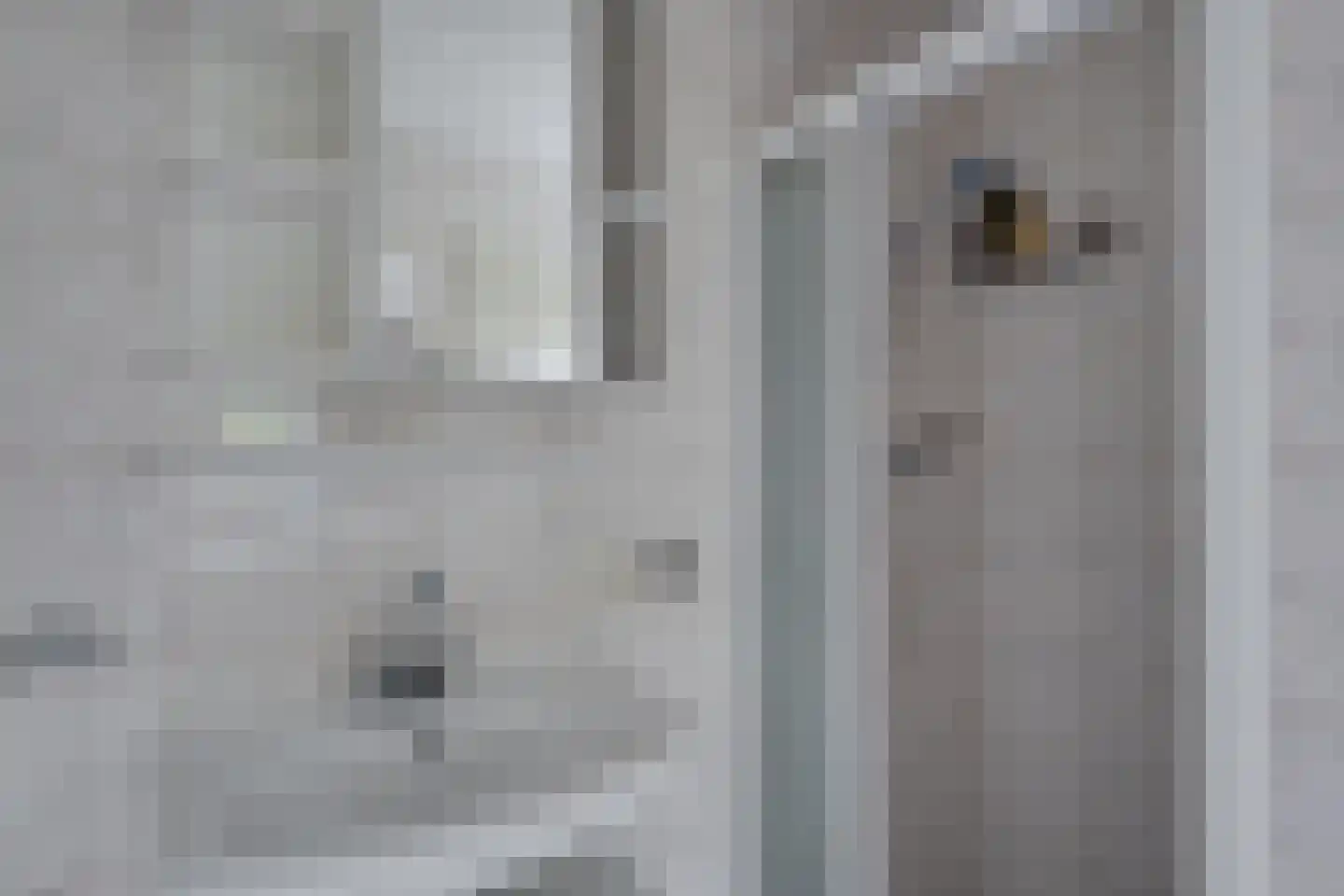 Vordenseweg 6 H302 Lochem thumbnail 25