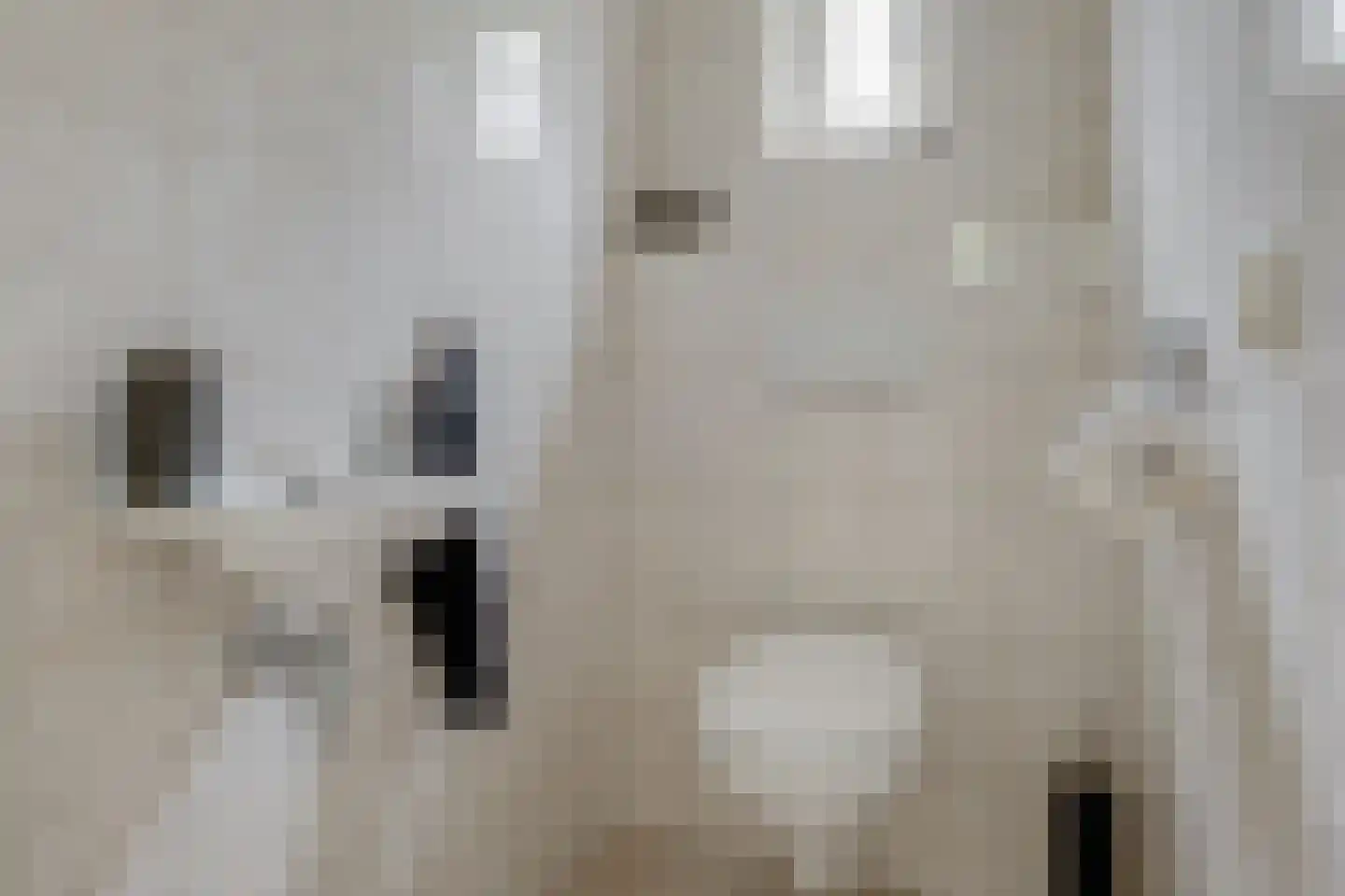 Vordenseweg 6 H302 Lochem thumbnail 31