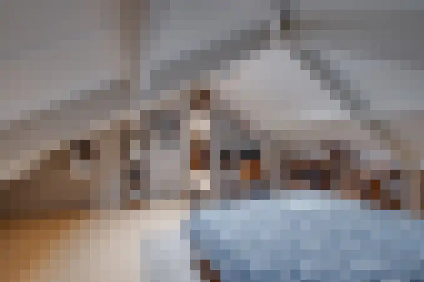 Vordenseweg 6 H302 Lochem thumbnail 37