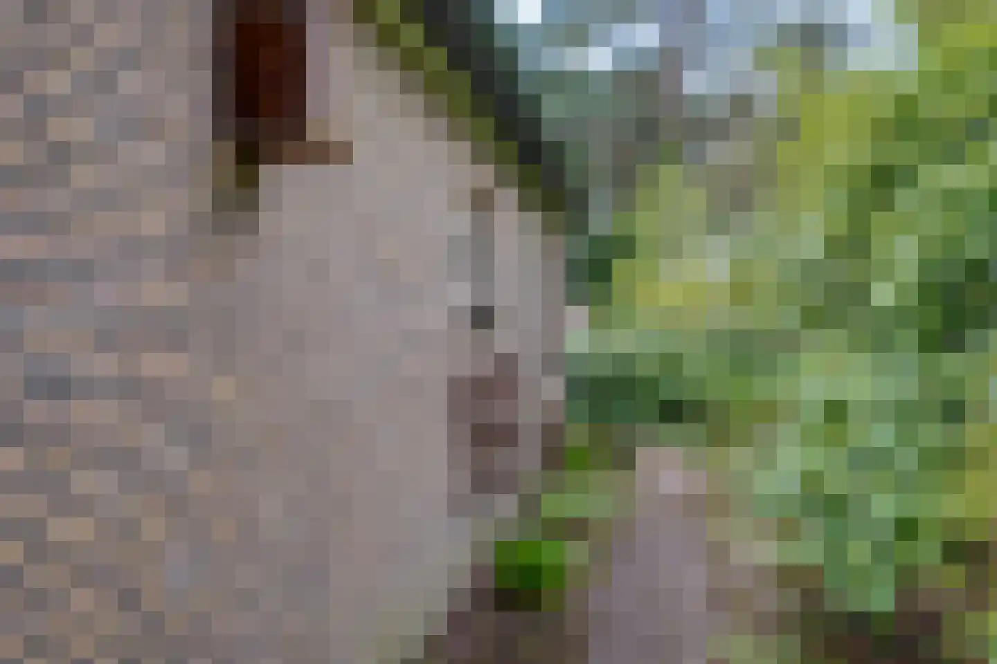 Vordenseweg 6 H302 Lochem thumbnail 44
