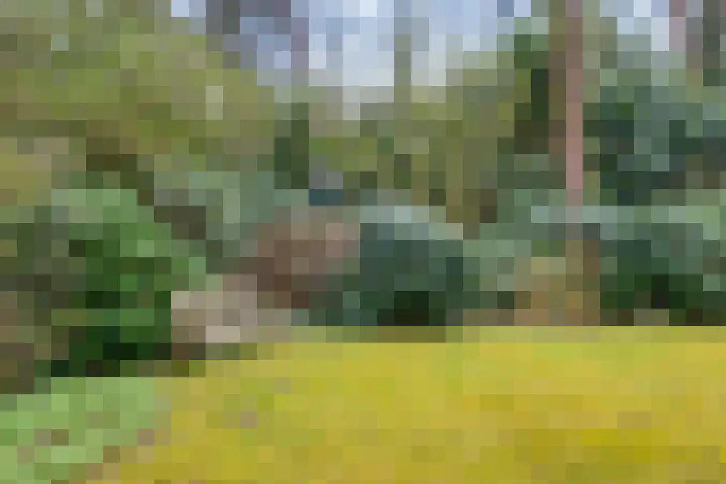 Vordenseweg 6 H302 Lochem thumbnail 46