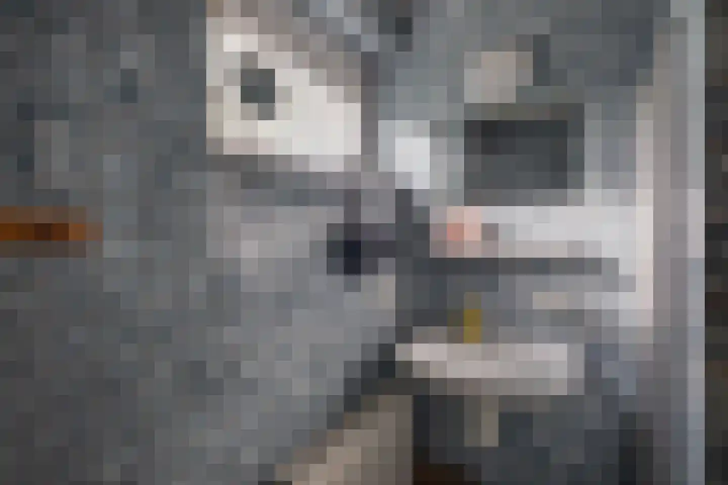 Vordenseweg 6 H304 Lochem thumbnail 33