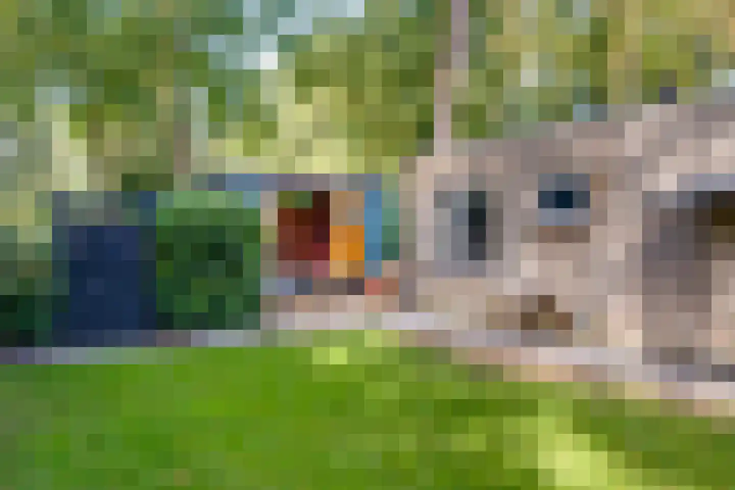 Vordenseweg 6 H304 Lochem thumbnail 36