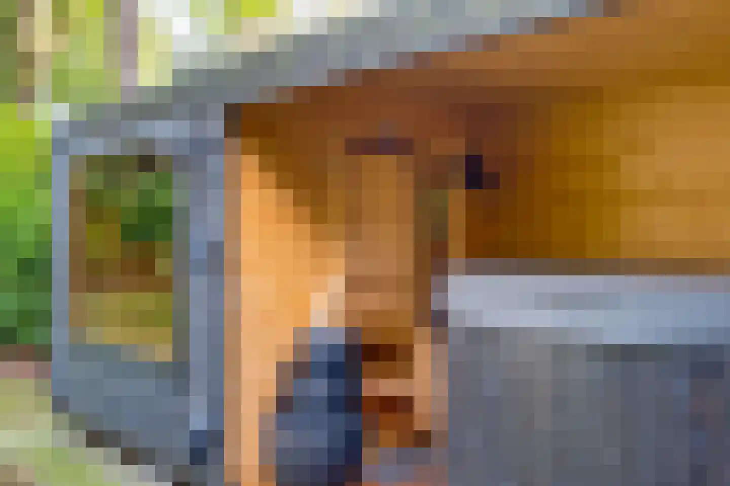 Vordenseweg 6 H304 Lochem thumbnail 40