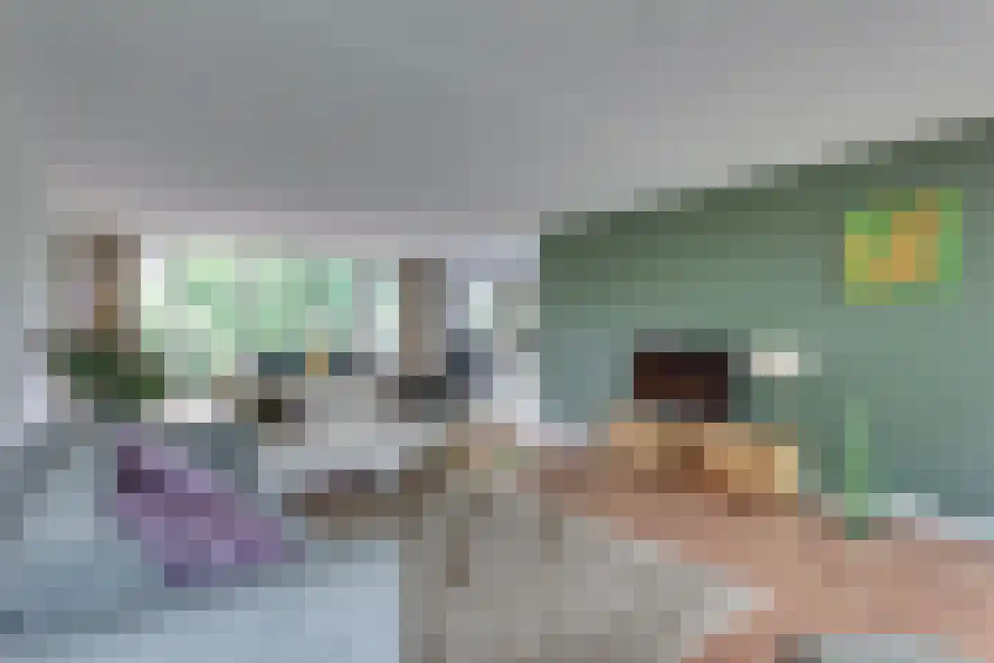 Vordenseweg 6 H318 Lochem thumbnail 14