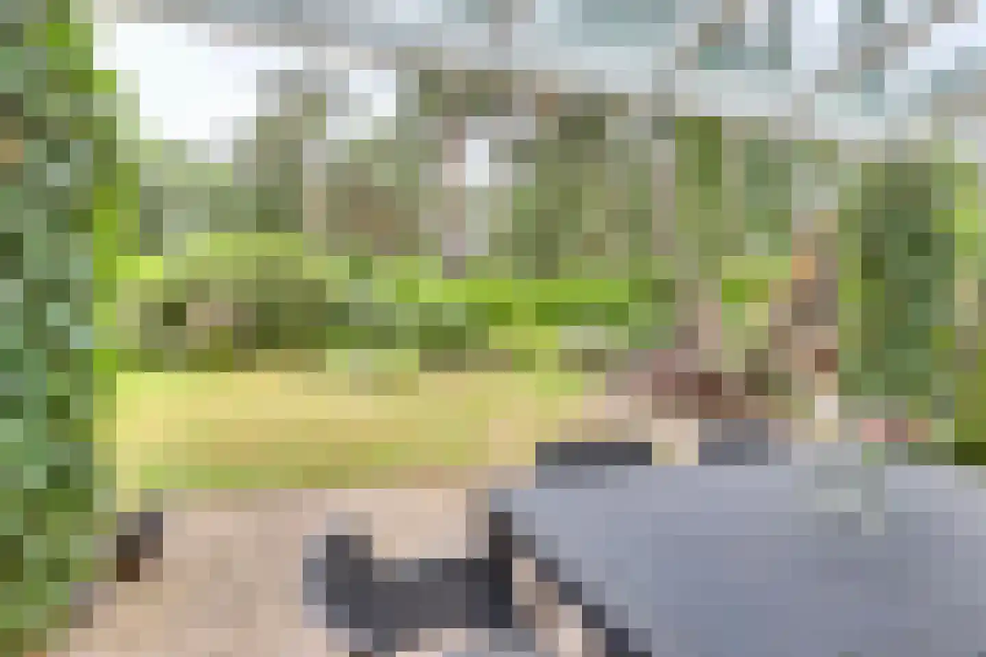 Vordenseweg 6 H318 Lochem thumbnail 32