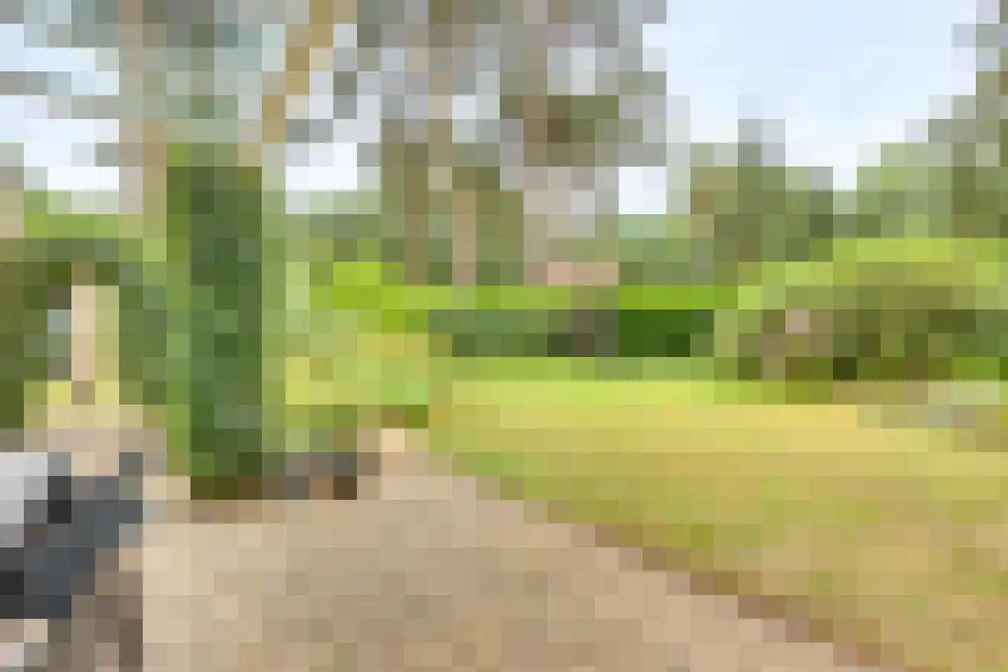 Vordenseweg 6 H318 Lochem thumbnail 33
